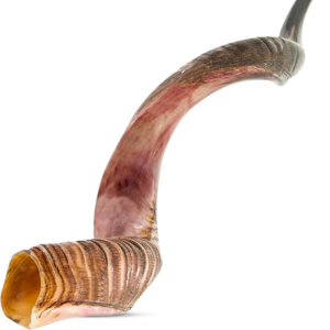 import placeholder for 3455