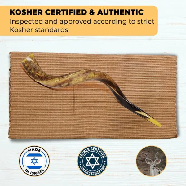 premium kosher kudu shofar – by size