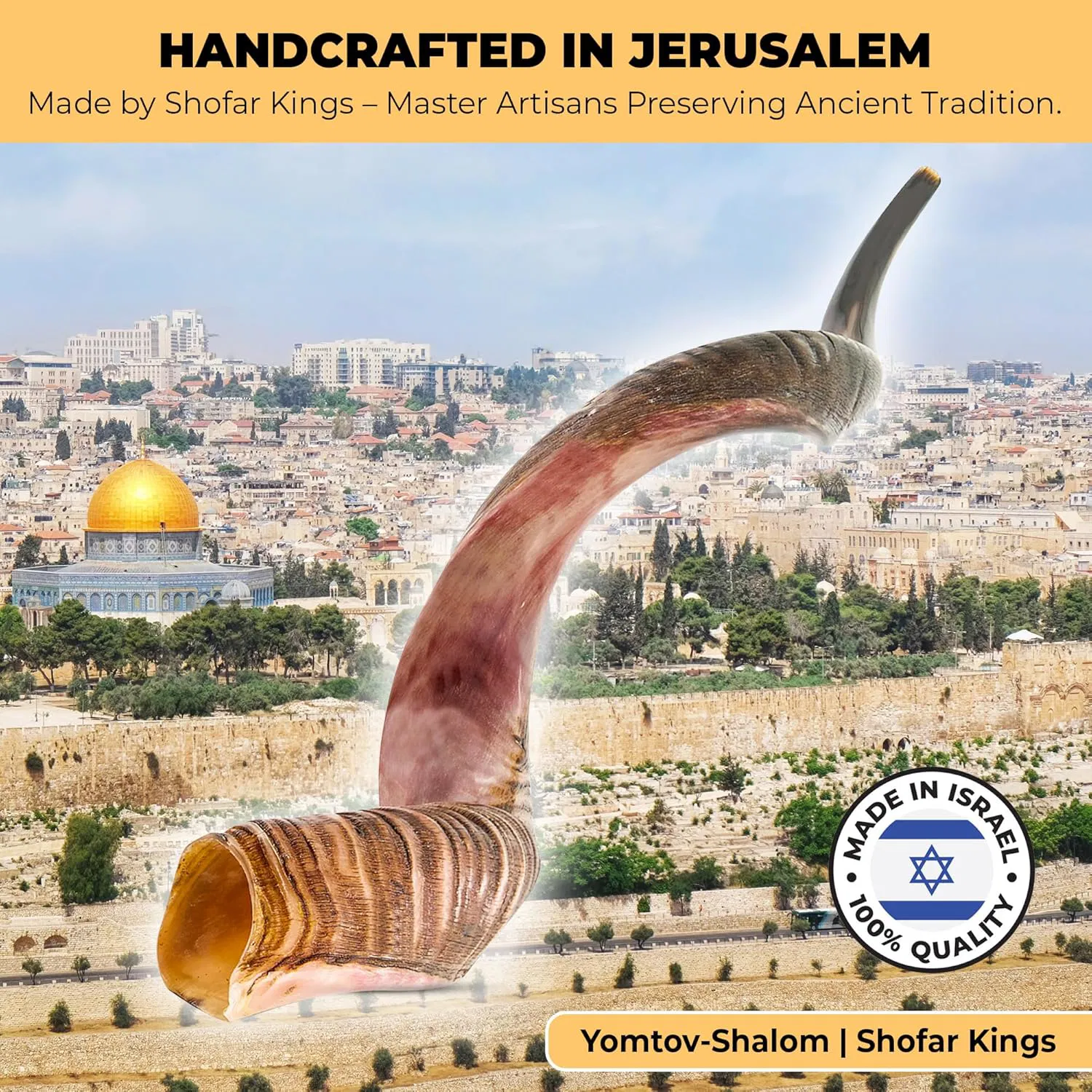 premium kosher kudu shofar – by size