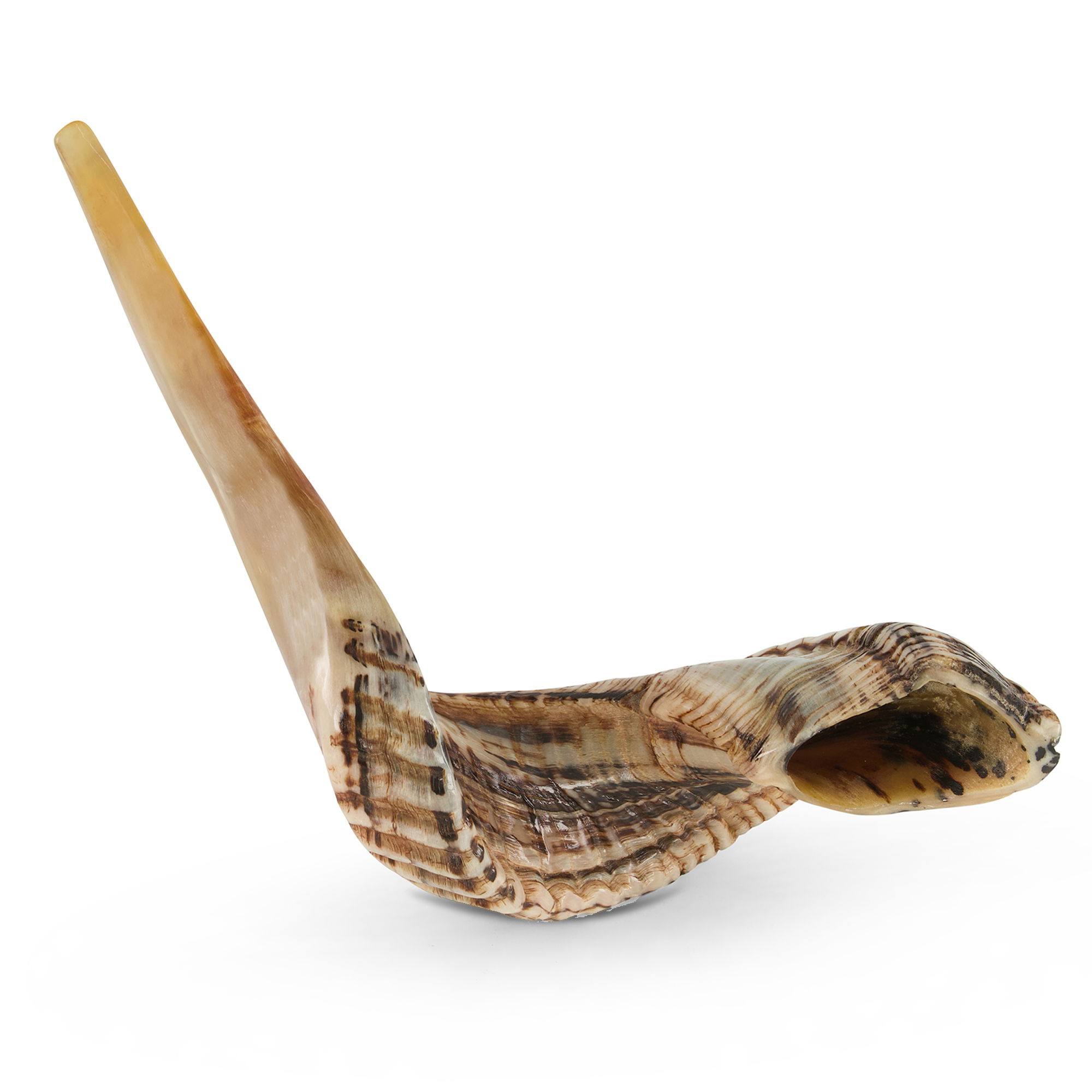 Ram shofar Ram shofar