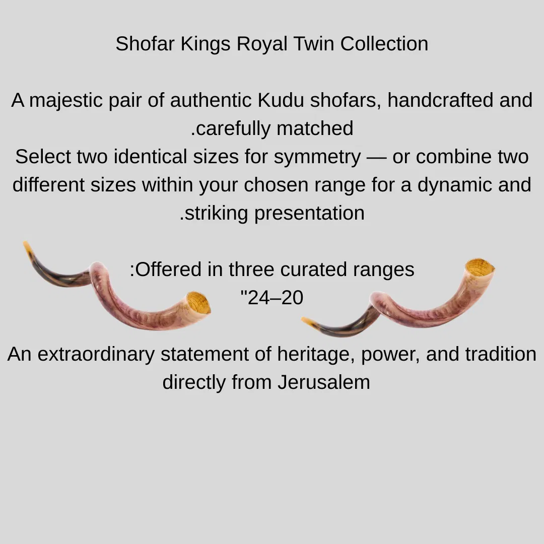 jerusalem kudu shofar pair – 20–24 inch set jerusalem kudu shofar pair – 20–24 inch set