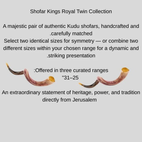2531 twin shofar 2531 twin shofar