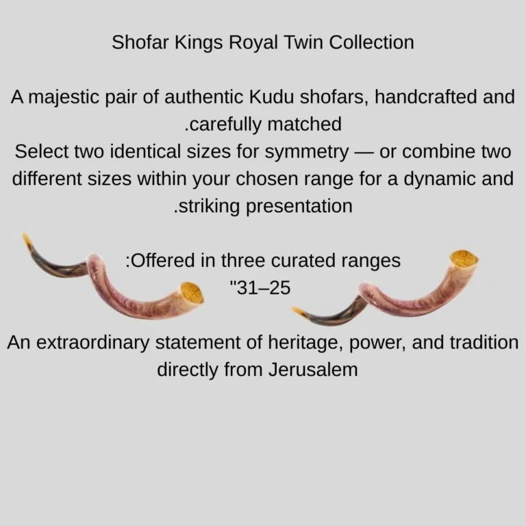 Jerusalem Premium Kudu Shofar Twin Set – 25–31 Inch