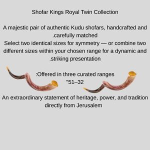 jerusalem premium kudu shofar twin set โ 32โ51 inch