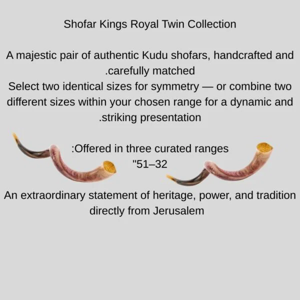 jerusalem premium kudu shofar twin set – 32–51 inch jerusalem premium kudu shofar twin set – 32–51 inch