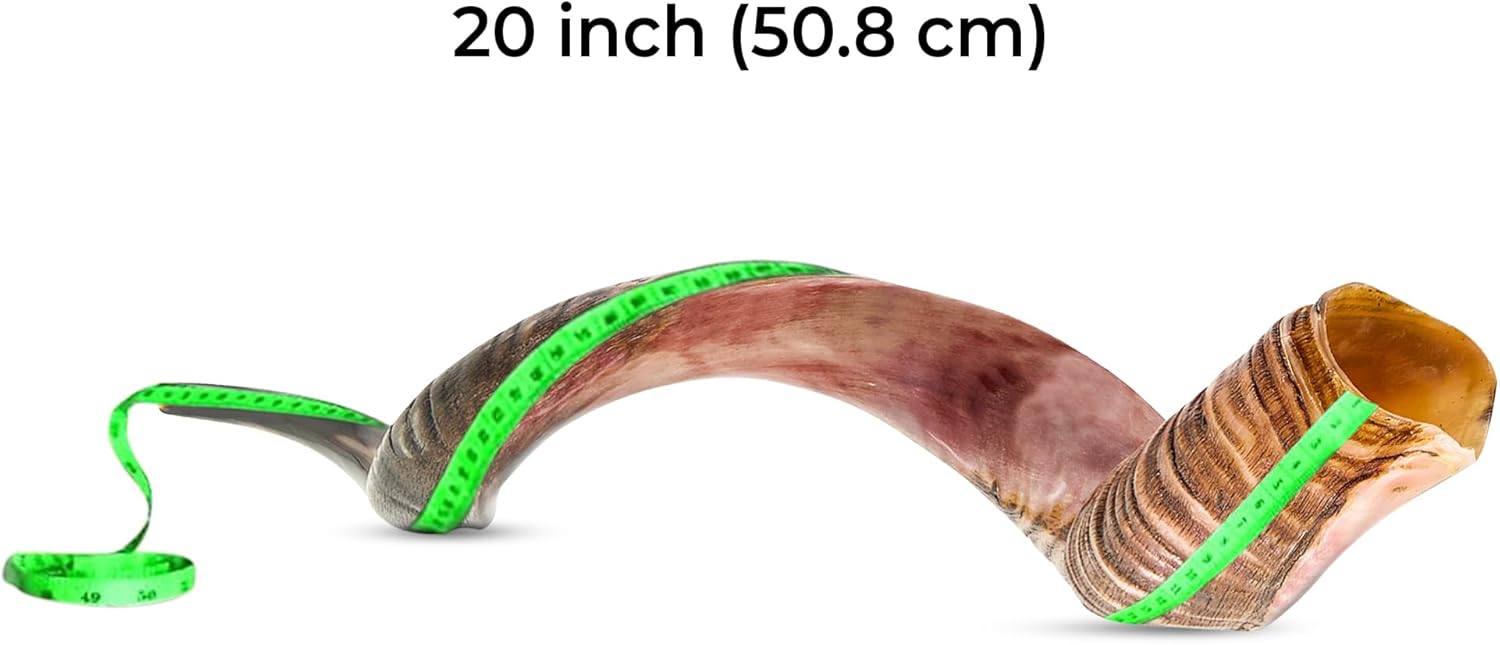 yomtov shalom handcrafted kosher kudu shofar from jerusalem | shofar?s king prestige collection yomtov shalom handcrafted kosher kudu shofar from jerusalem | shofar?s king prestige collection