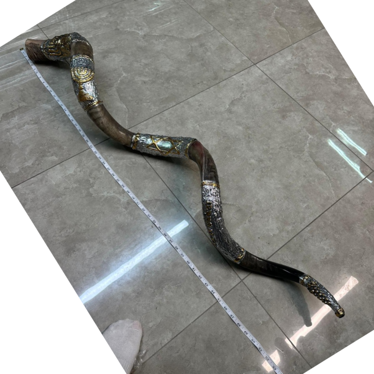 Extra Long Silver Decorated Kosher Shofar from Jerusalem, Israel 48-58 inch
